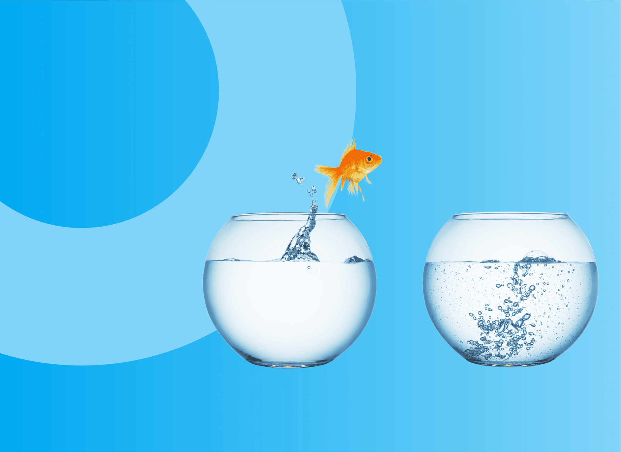 Formation Changement De Poste En Interne Skillsday